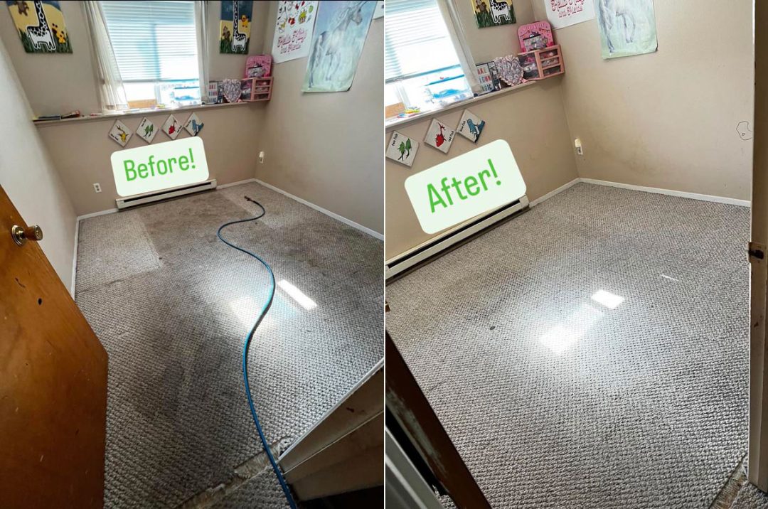 Carpet Cleaning - Before & After